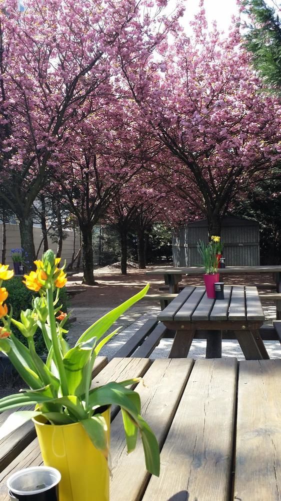 فندق بريمير كلاسيه مونتريول موراوْيْ المظهر الخارجي الصورة The courtyard at the school